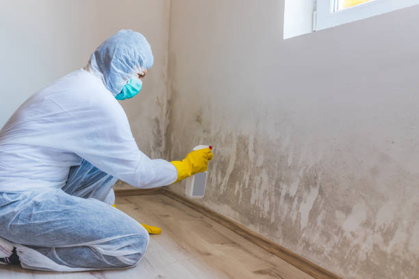 Hvac And Air Duct Mold Remediation inspection of HVAC system in Arrington