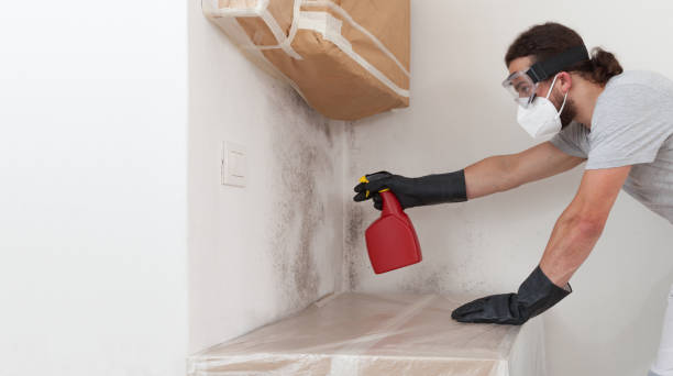 Basement Mold Remediation treatment on basement walls in Arrington